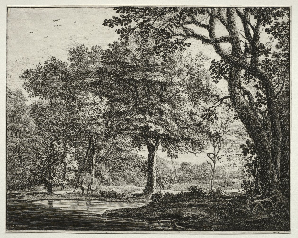 Six vues dans le bois de La Haye : Planche 6, Deux cerfs - Roelant Roghman