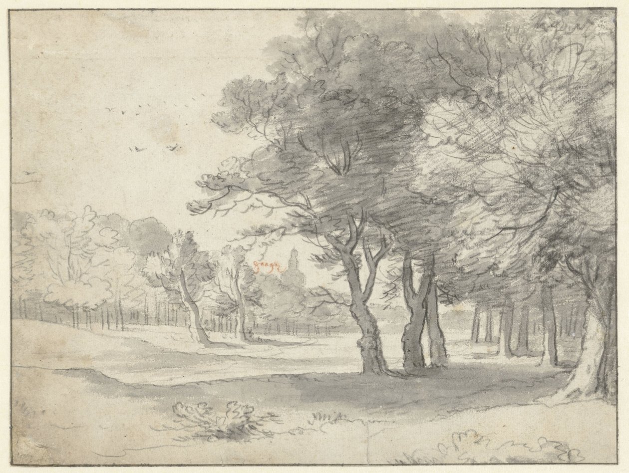 Vue dans le Haagse Bos, avec la Grote Kerk, La Haye, au loin - Roelant Roghman