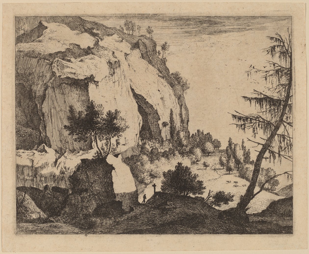 Paysage rocheux avec sapin : pl.4 - Roelant Roghman and Melchior Küsel