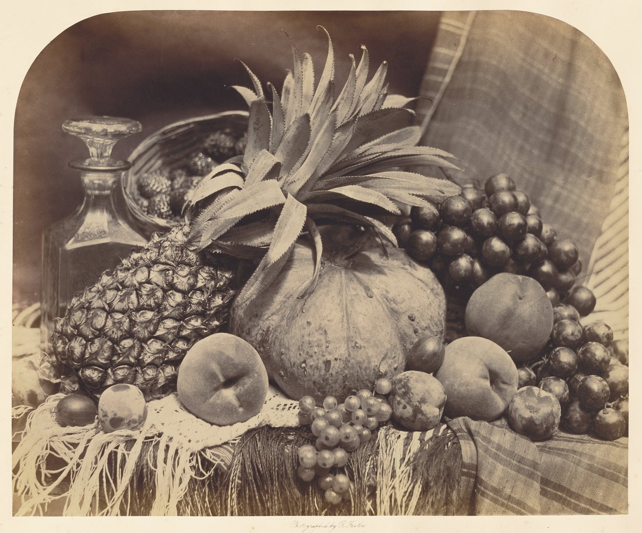 Nature morte avec fruits et carafe - Roger Fenton