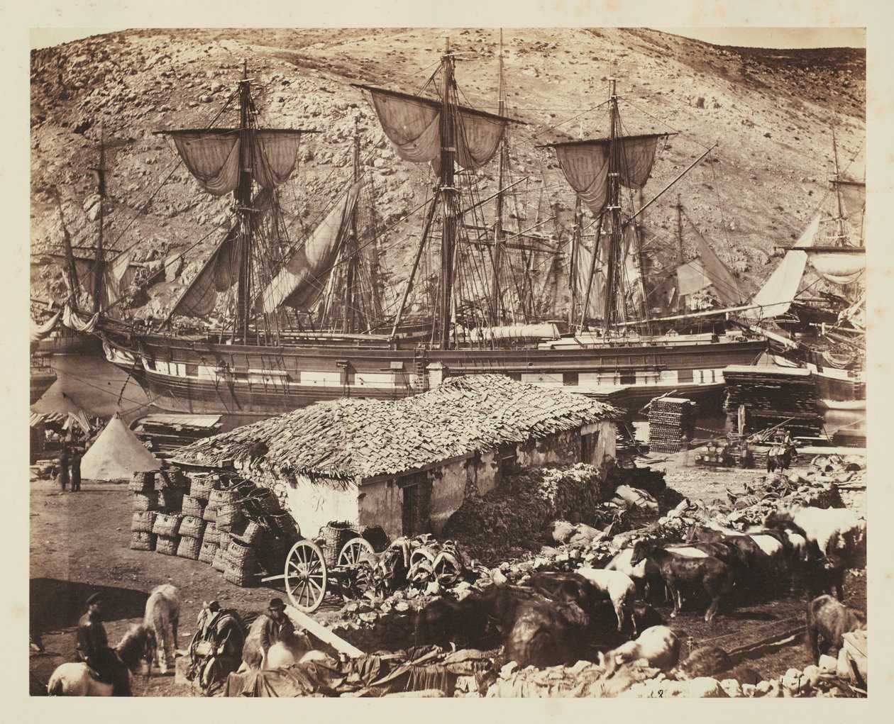 Port de Balaklava, le quai du bétail - Roger Fenton