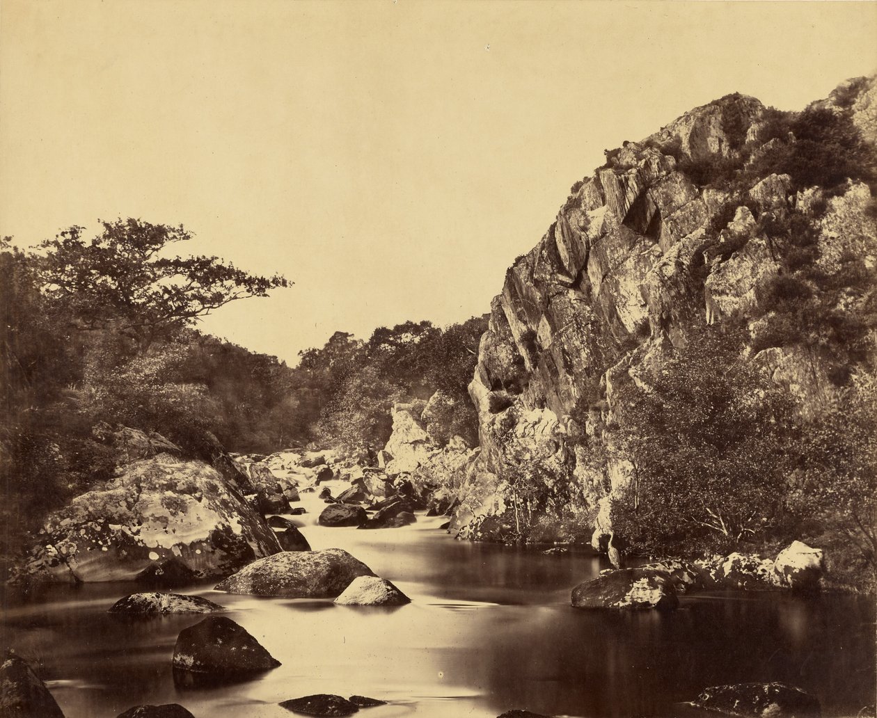 Étang aux hérons sur le Lledr - Roger Fenton