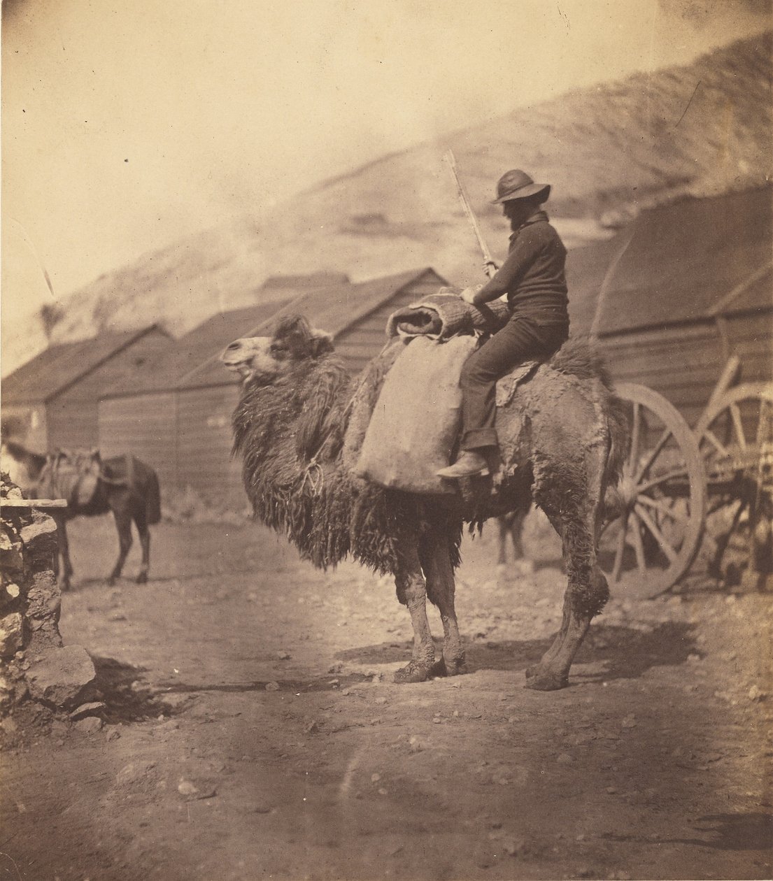 [Homme montant un chameau] - Roger Fenton