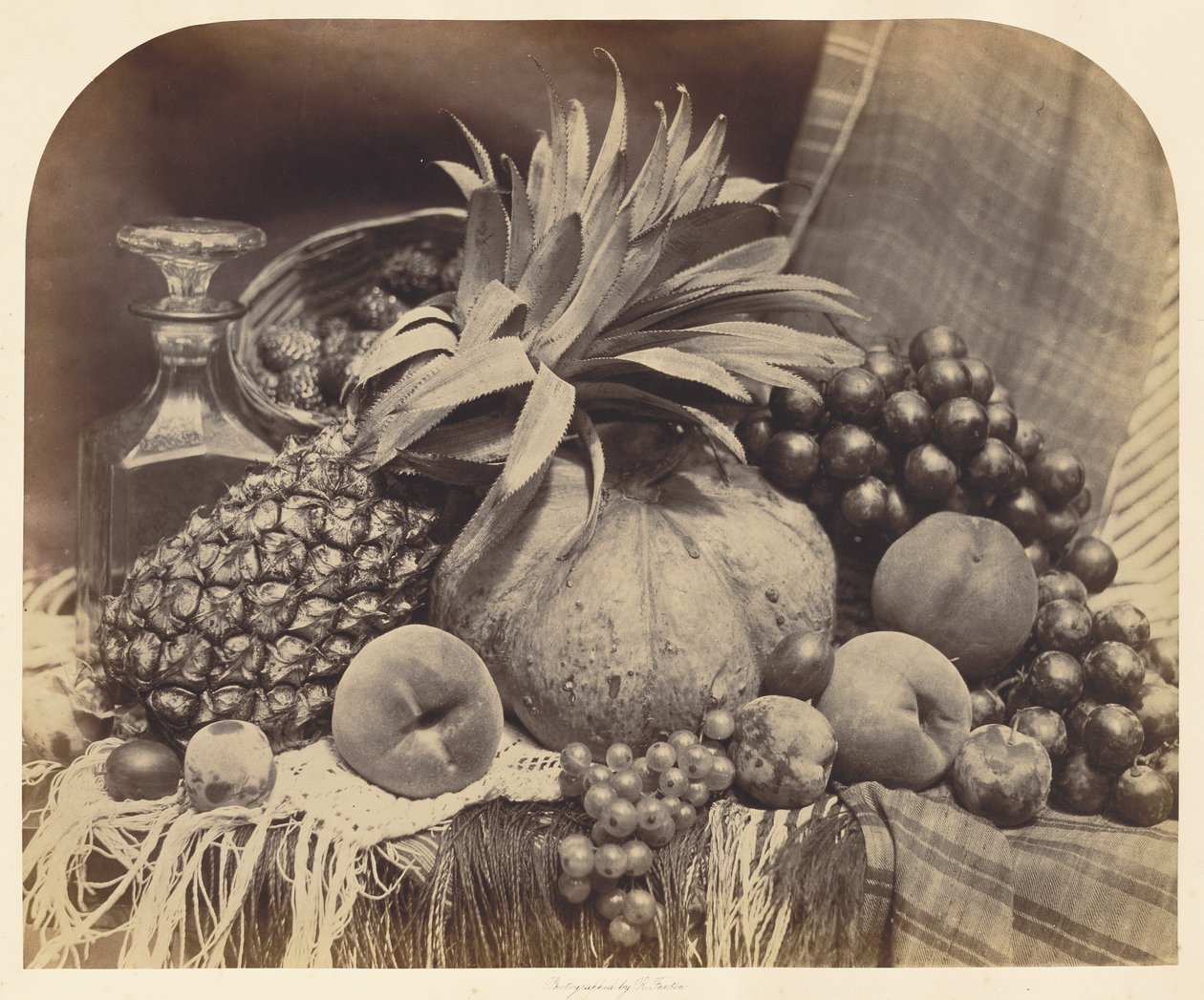 Nature morte aux fruits et à la carafe - Roger Fenton