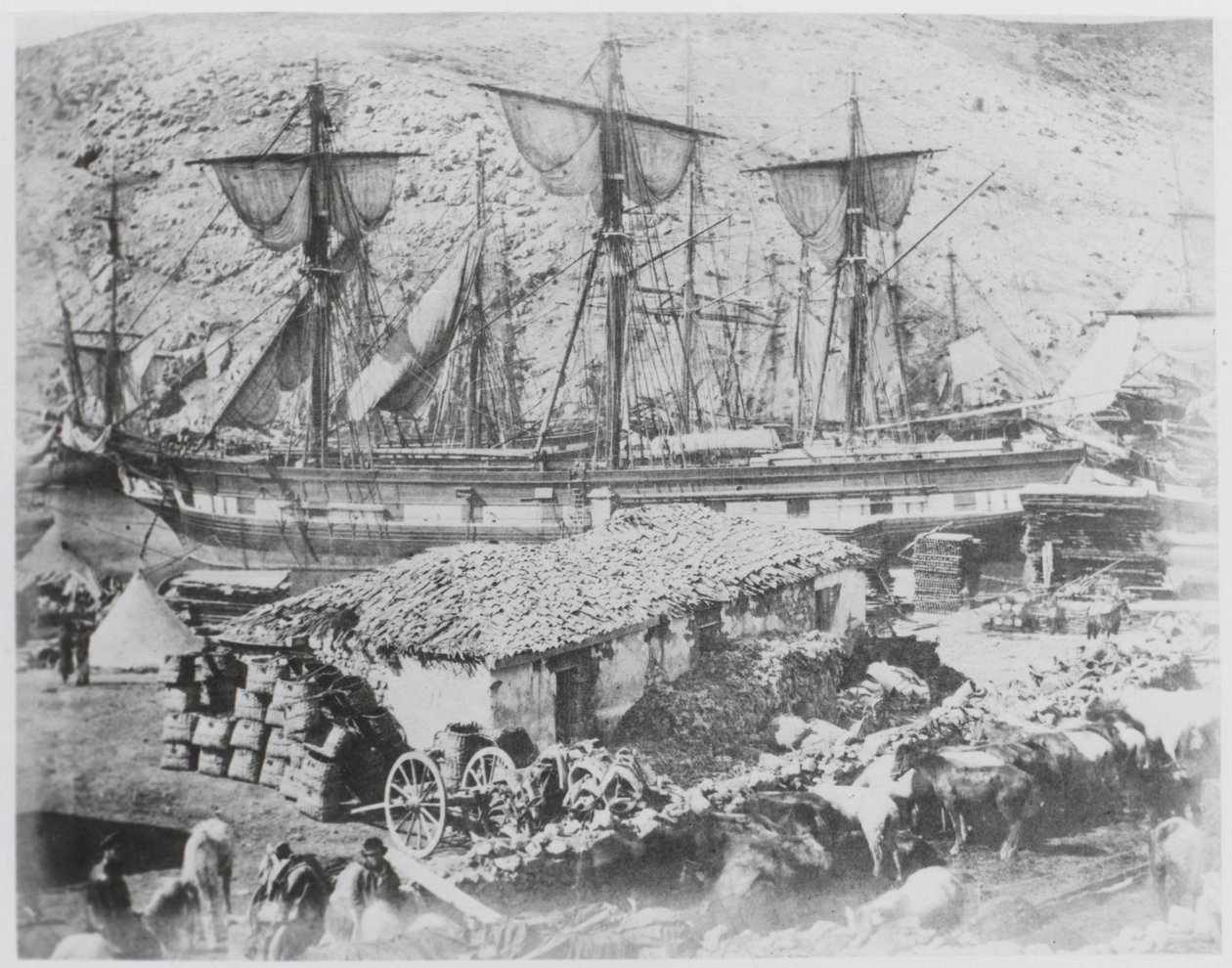 Le quai à bestiaux dans le port de Balaklava - Roger Fenton