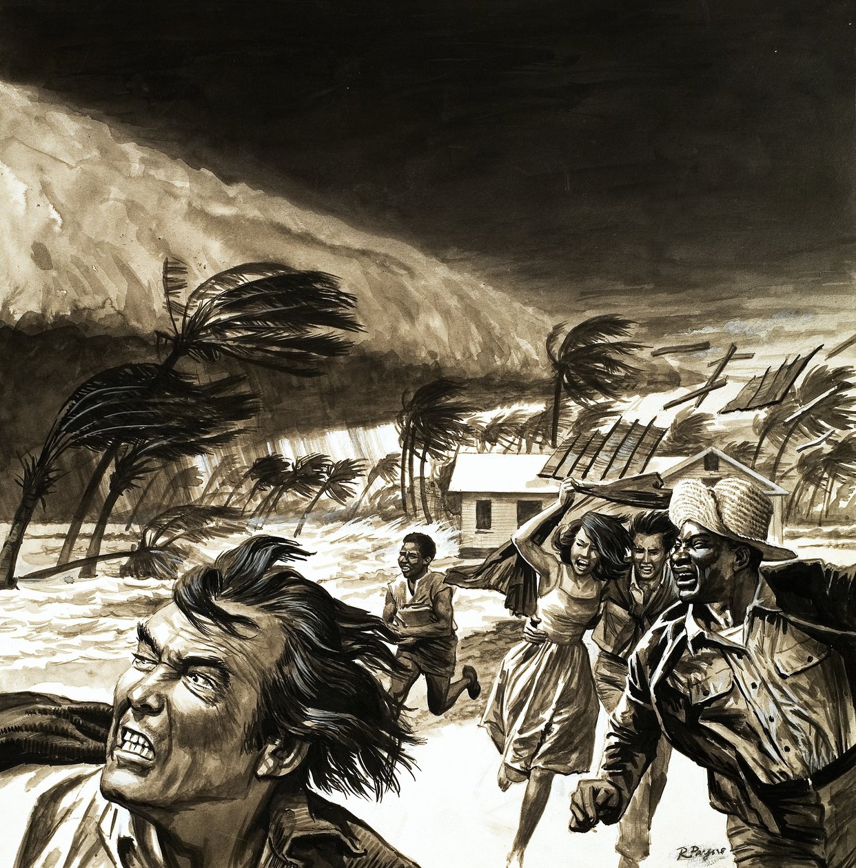 Un raz-de-marée frappe les Caraïbes - Roger Payne