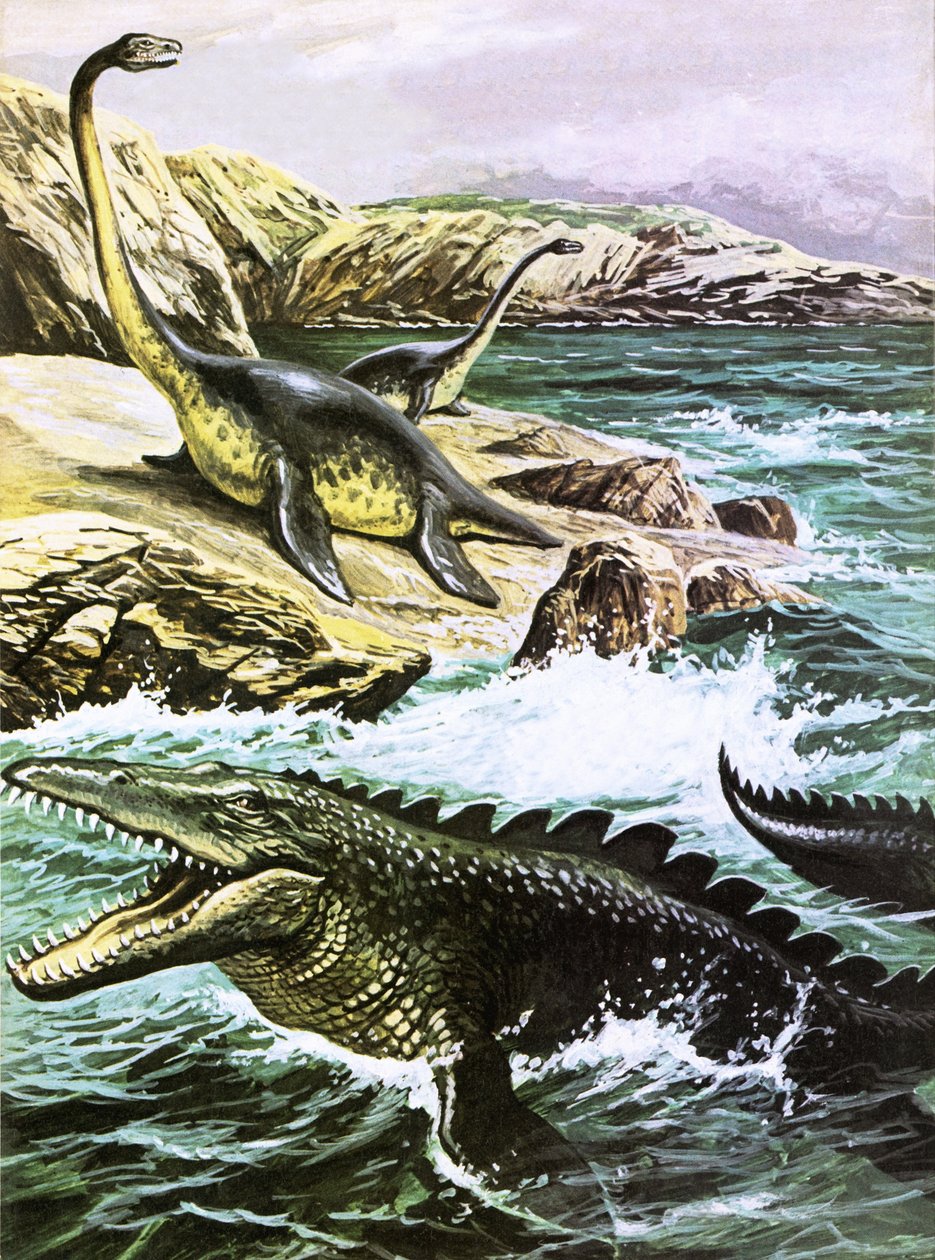 Plesiosaurus (en haut) et Tylosaurus (en bas) - Roger Payne