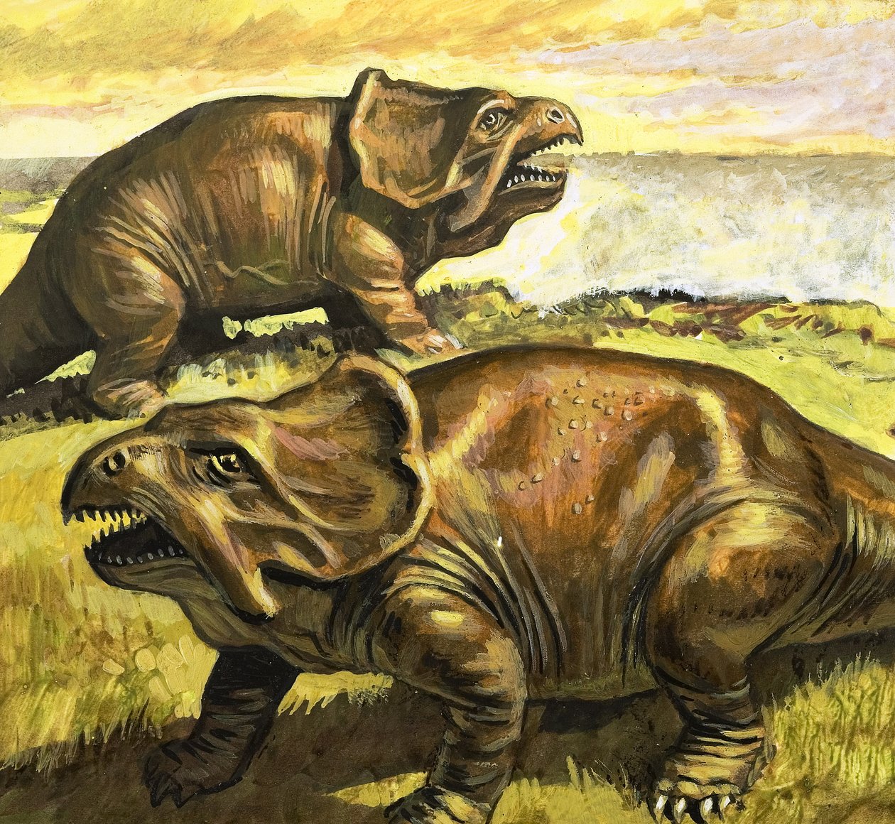 Protoceratops, illustration tirée de "Au temps des dinosaures, découverte dans le désert". - Roger Payne