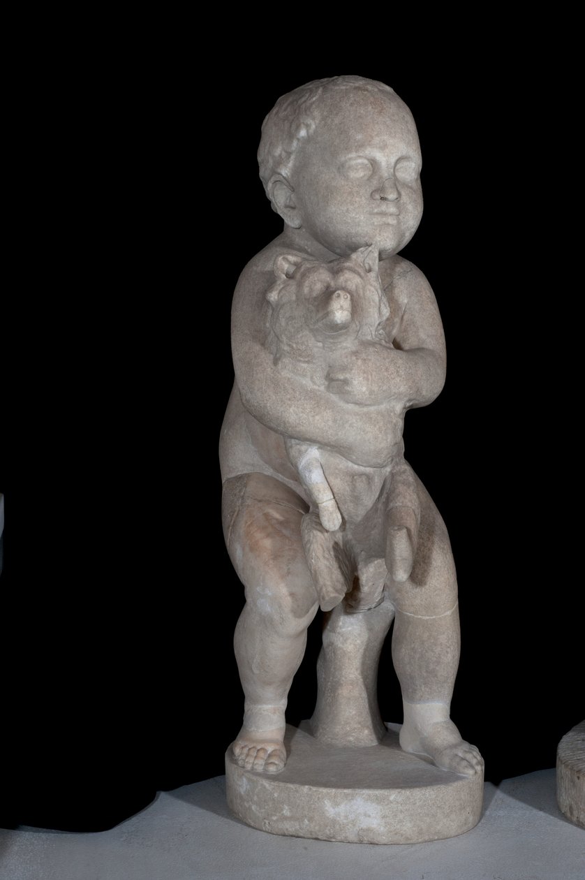 Enfant avec un chien - Roman