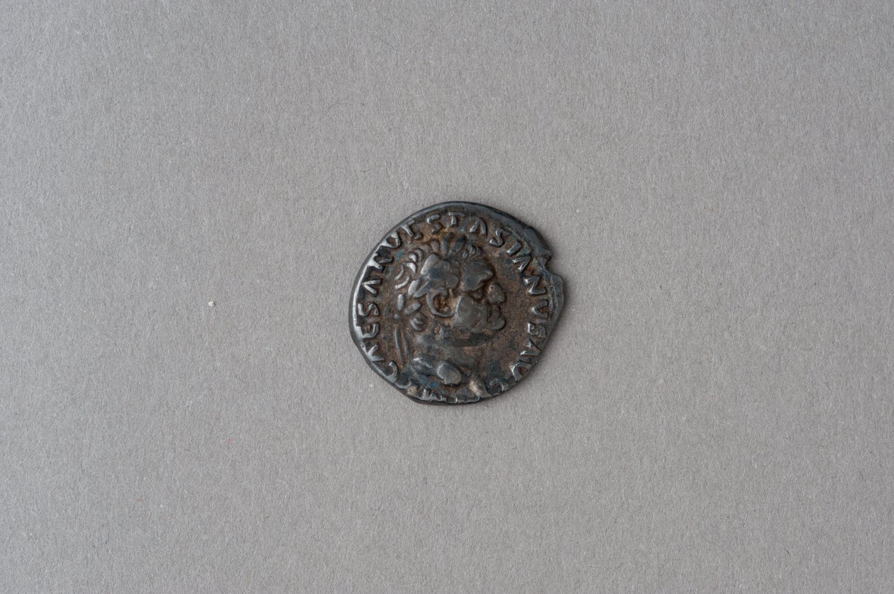 Denier de Vespasien (argent) - Roman