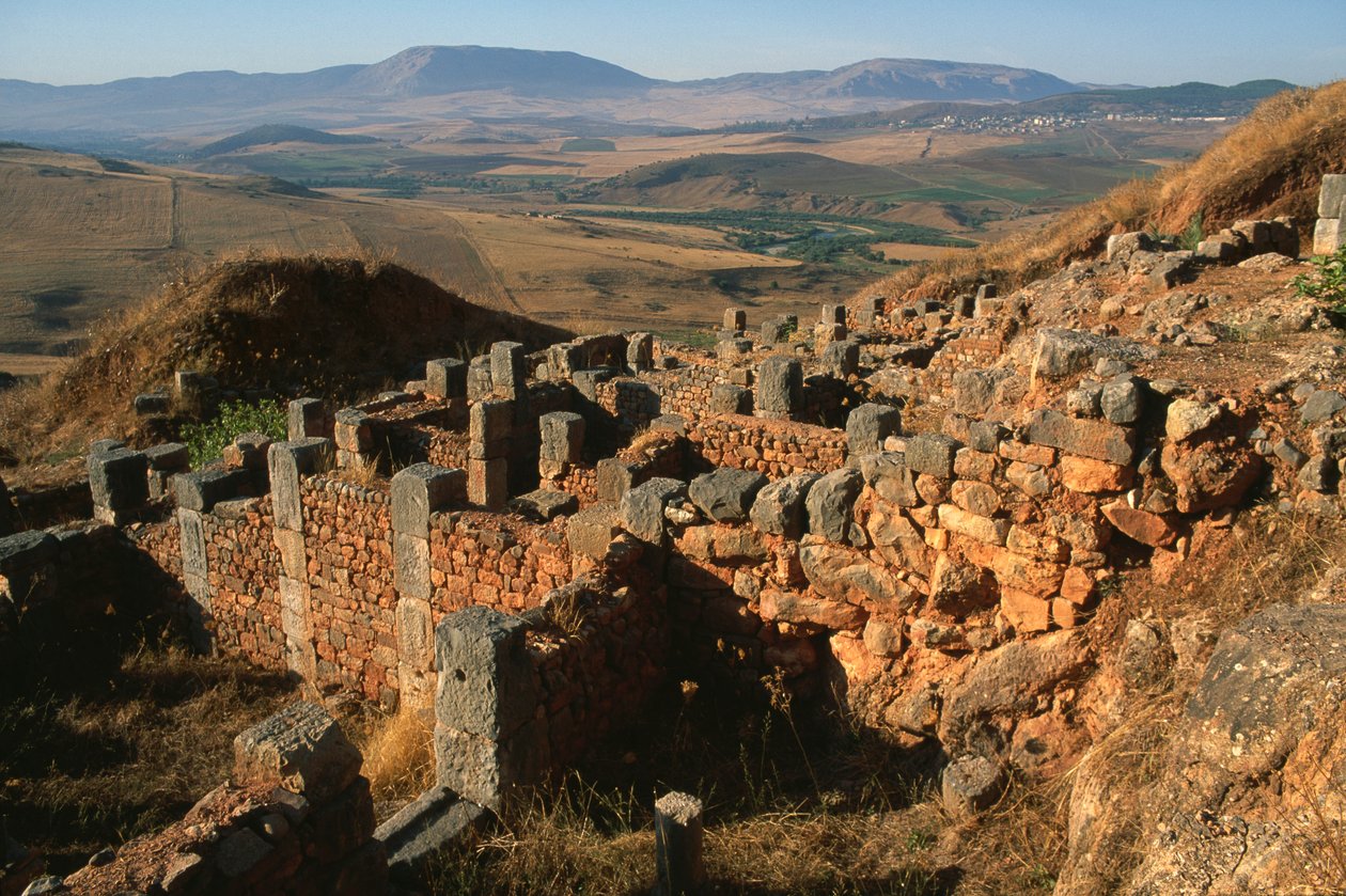 Vue générale du site - Roman