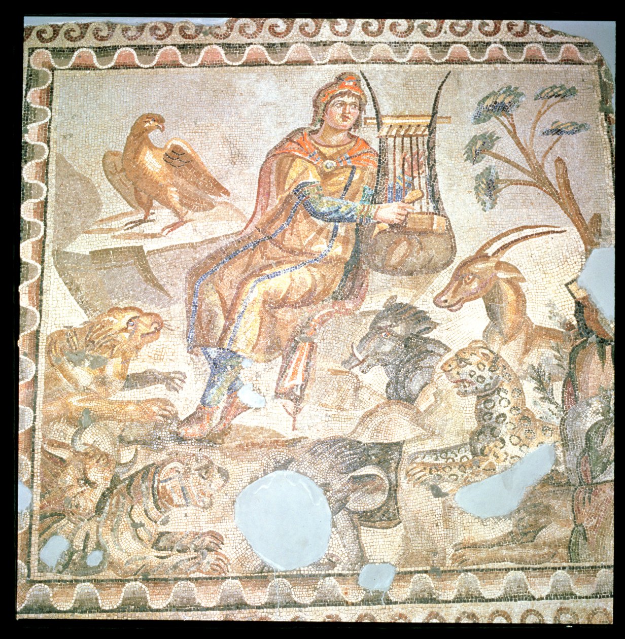 Orphée jouant pour les animaux, mosaïque romaine - Roman