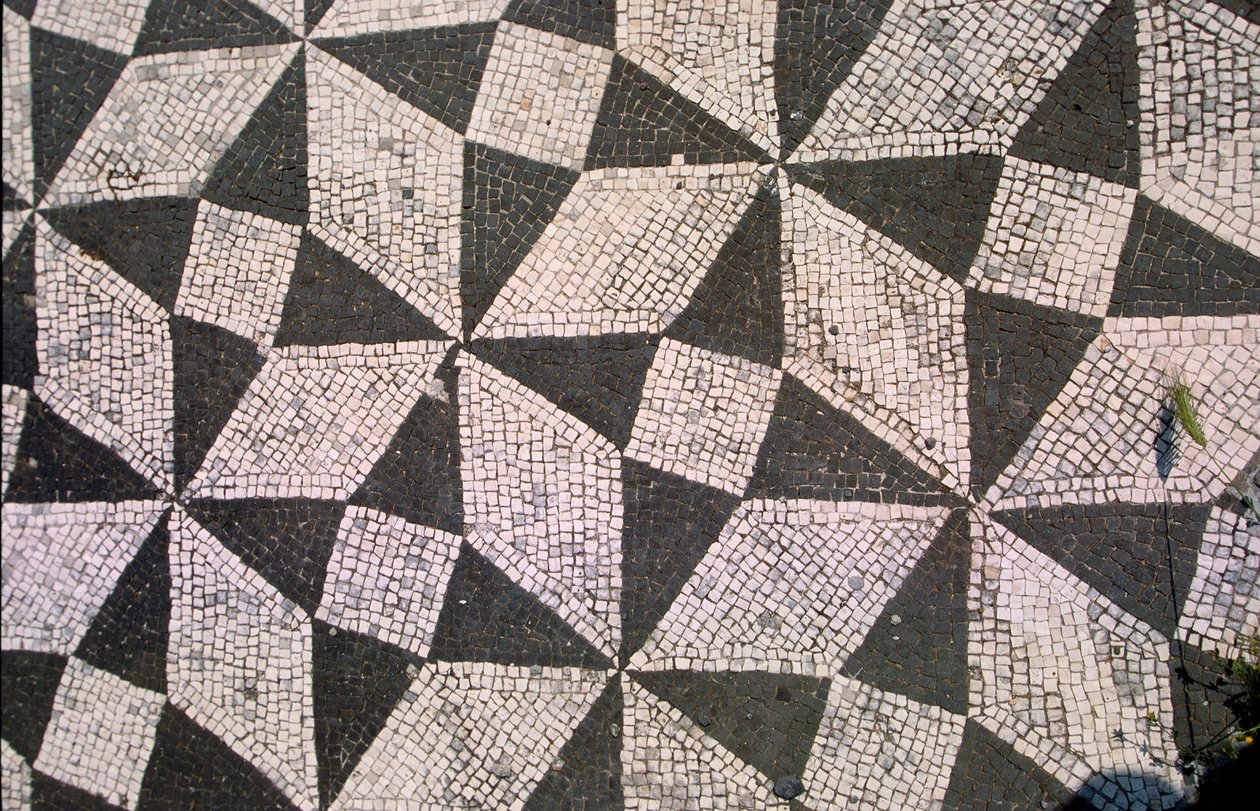 Sol en Mosaïque - Roman