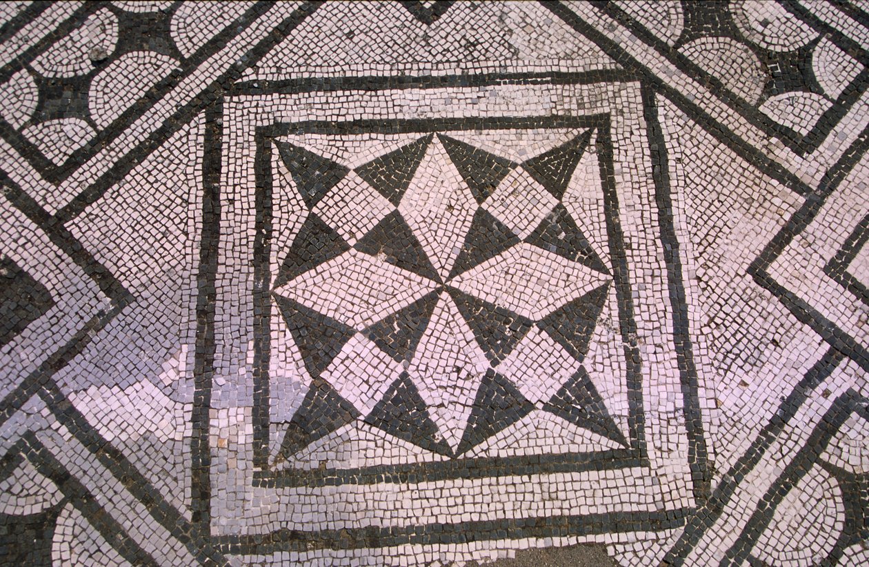 Sol en mosaïque - Roman
