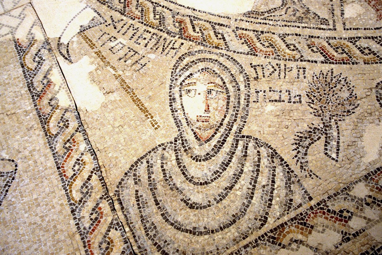 Mosaïque de Sepphoris, Tzippori - Roman