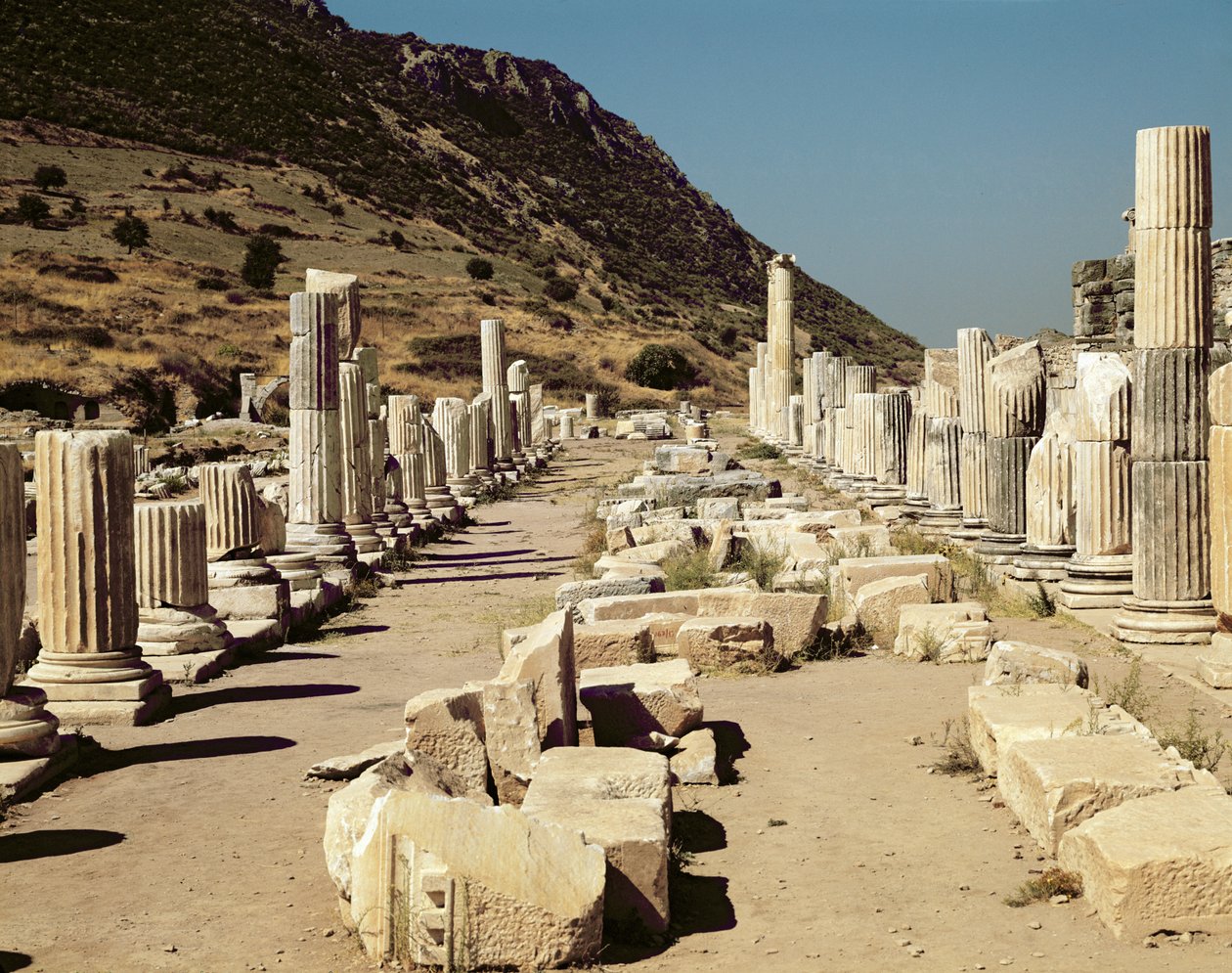 Vue des colonnes sur l