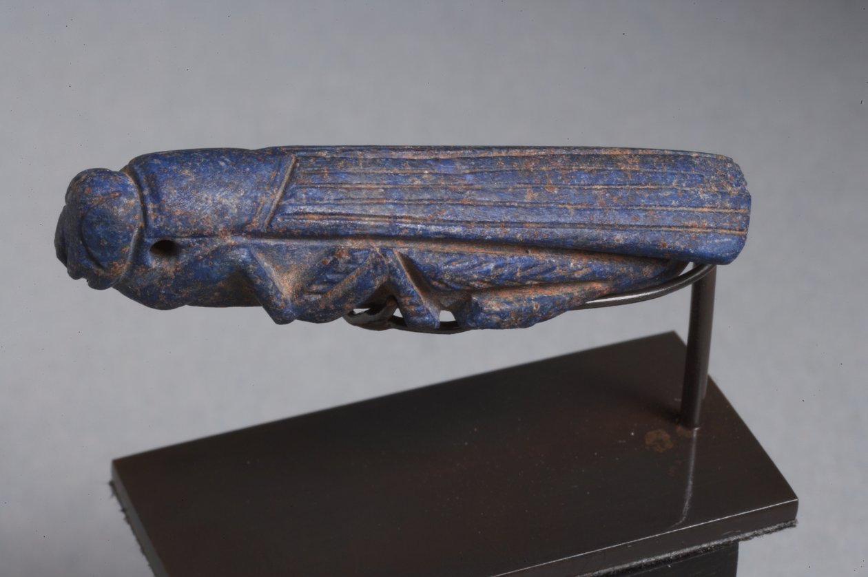 Amulette du Proche-Orient en forme de sauterelle (lapis-lazuli) - Roman Imperial Period