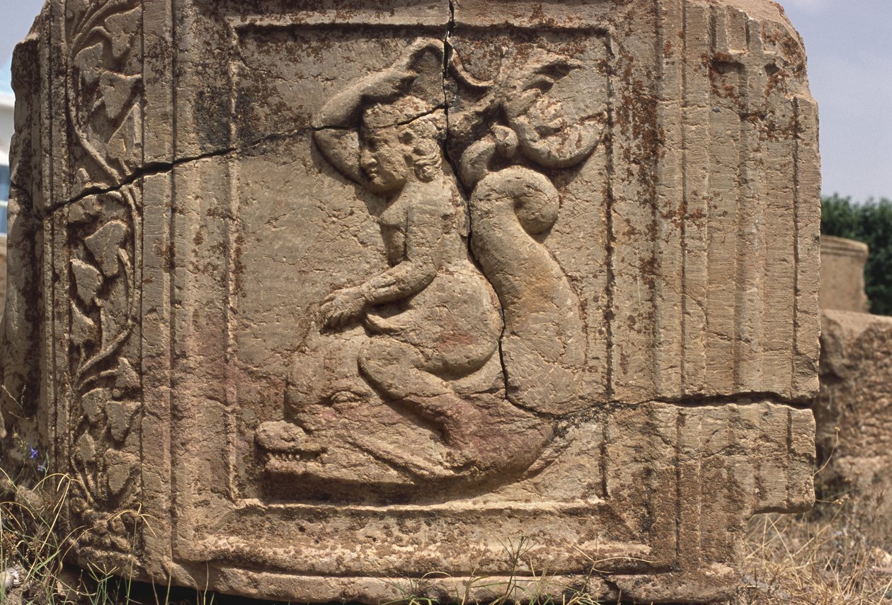 Nymphe de l