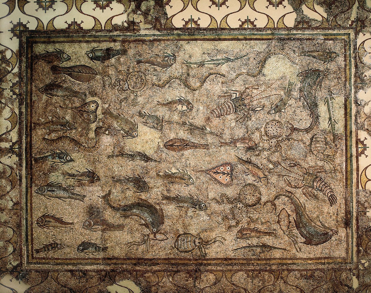 Art romain : mosaïque des poissons - Roman