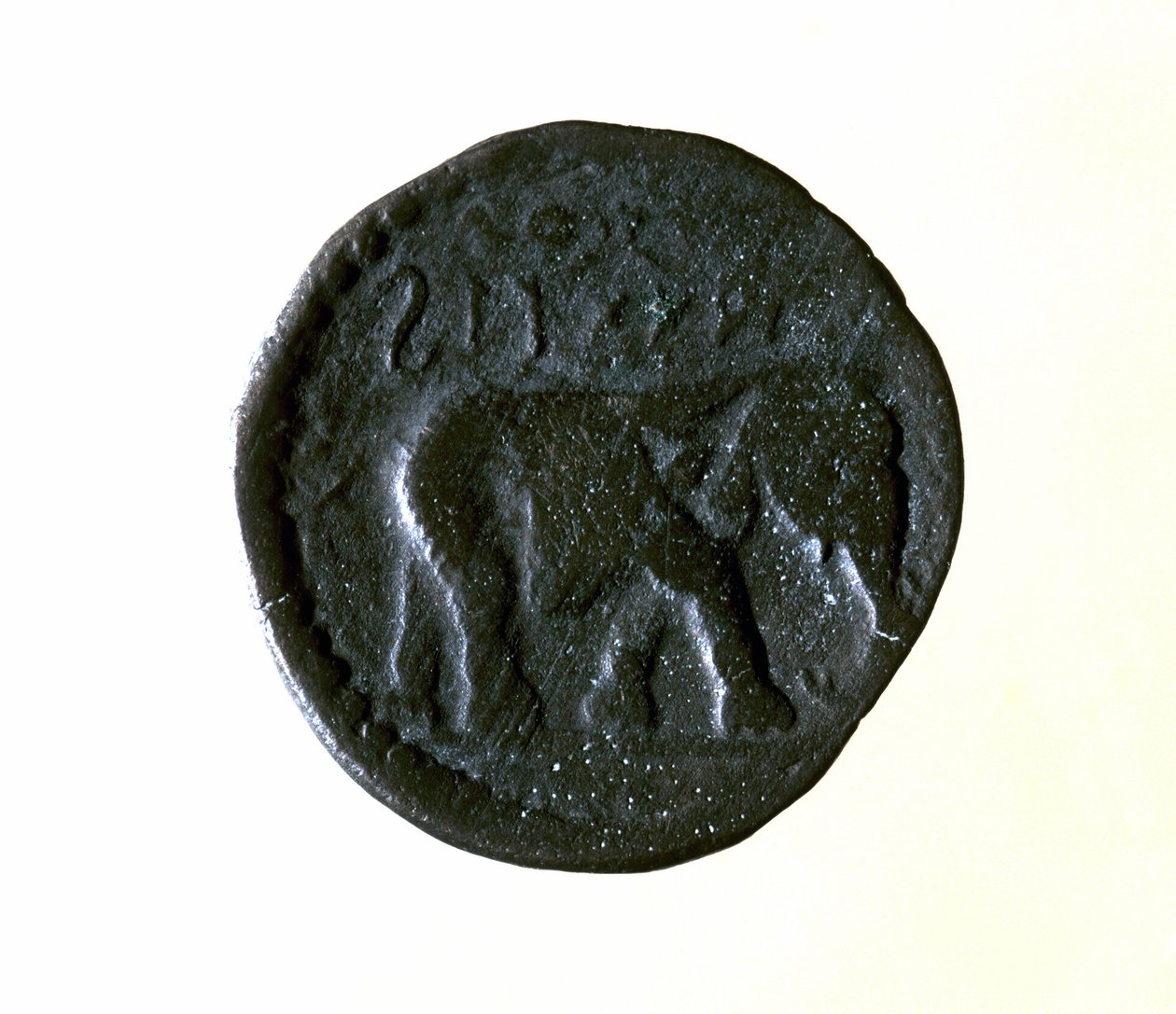 Pièce de Carthage représentant un éléphant. IIIe ou IIe siècle av. J.-C. - Roman
