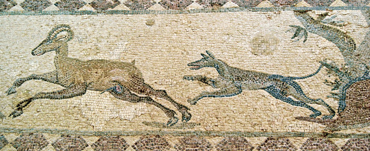 Scène de chasse, Maison de Dionysos, Paphos, Chypre - Roman