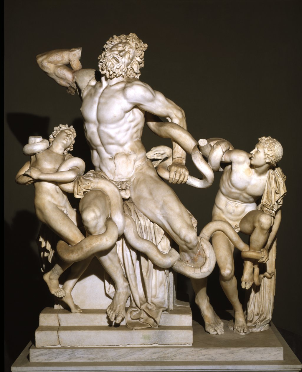 Laocoon et ses fils - Roman