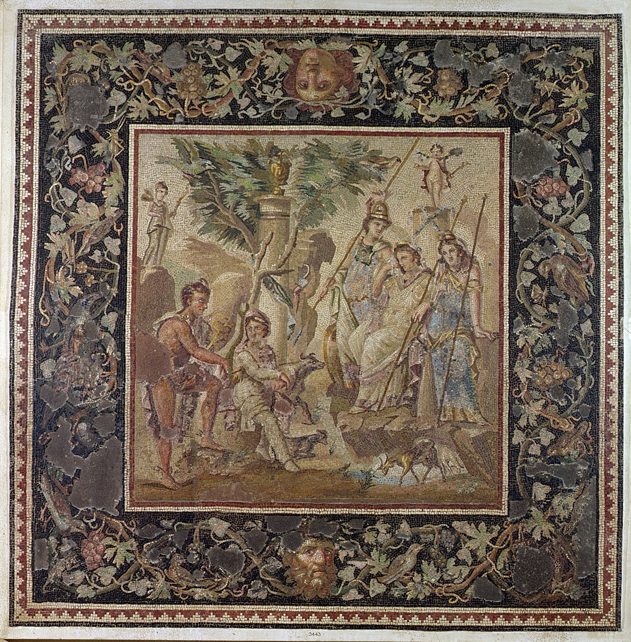 Le Jugement de Pâris, de la Maison de l