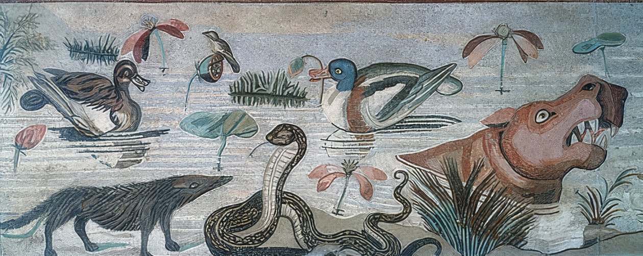 Animaux dans le Nil, de la Maison du Faune (Casa del Fauno), Pompéi - Roman