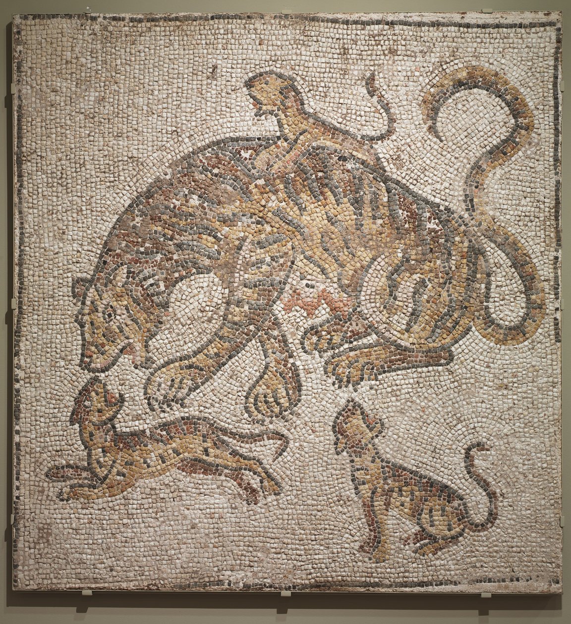 Tigresse et petits, vers 300 après J.-C. - Roman