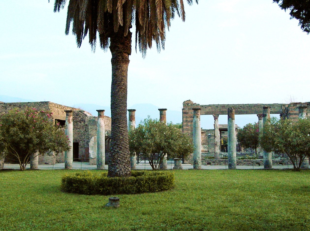 Vue de la maison de la Casa dei Vettii (Maison des Vettii) - Roman