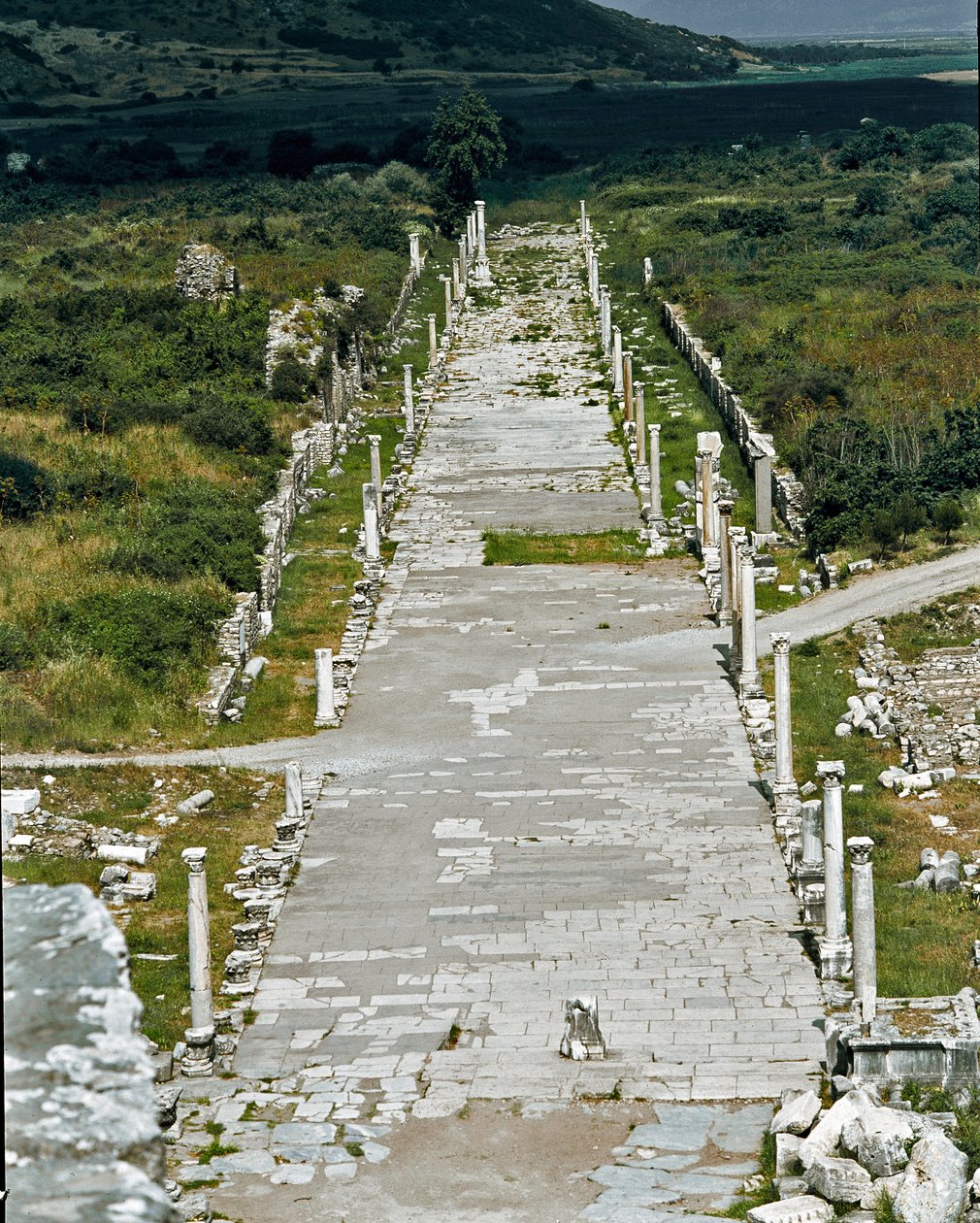 Vue de la Voie du Port (ou Voie Arcadienne) reliant le port au théâtre, 2e siècle - Roman