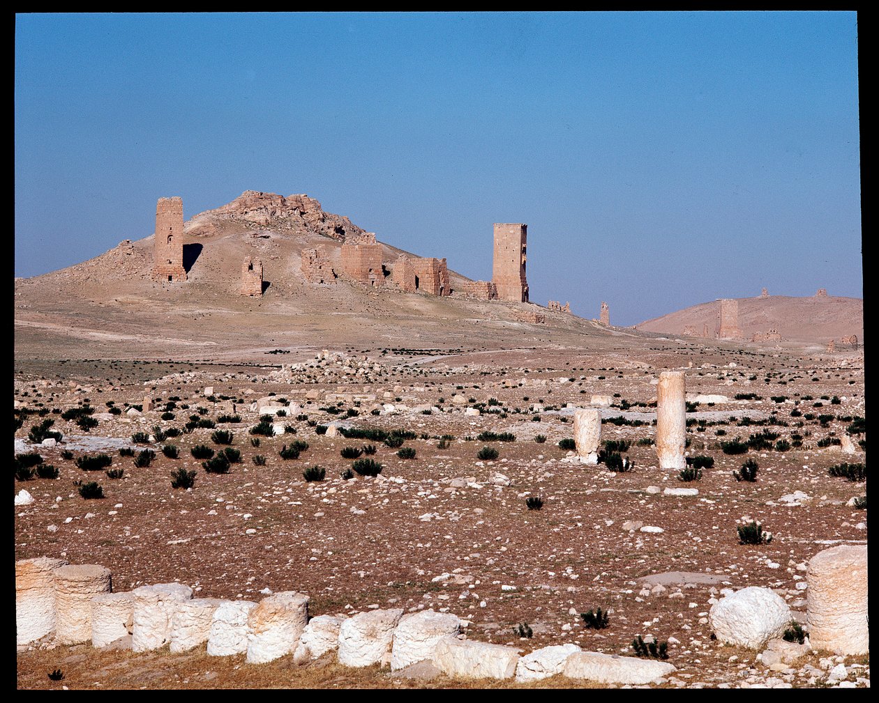 Vue des tours-tombes de Iamblichus et Elahbel - Roman