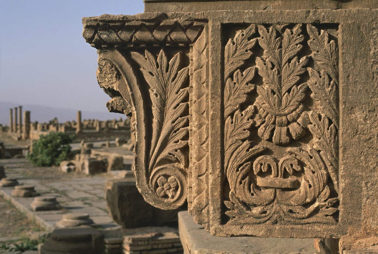 Fragment architectural avec décoration sculptée, marché de Sertius, Haute période impériale (27 av. J.-C.-395 apr. J.-C.) - Roman Imperial Period