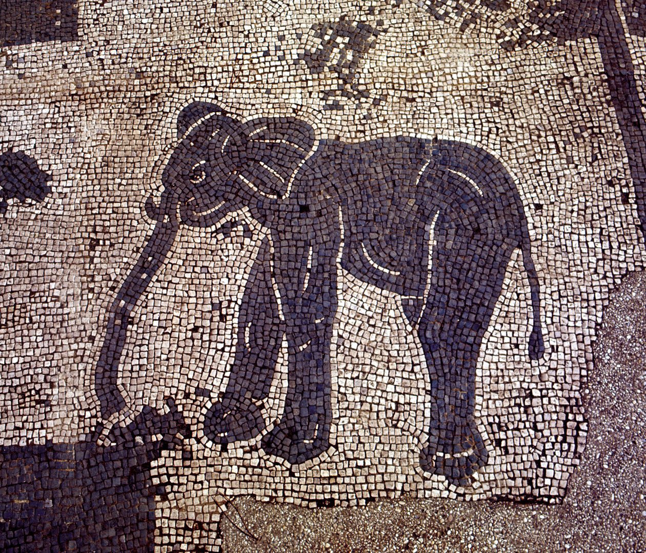 Ostie antique. Place des Corporations. Mosaïque de la Corporation des Marins de Sabratha - Roman Roman
