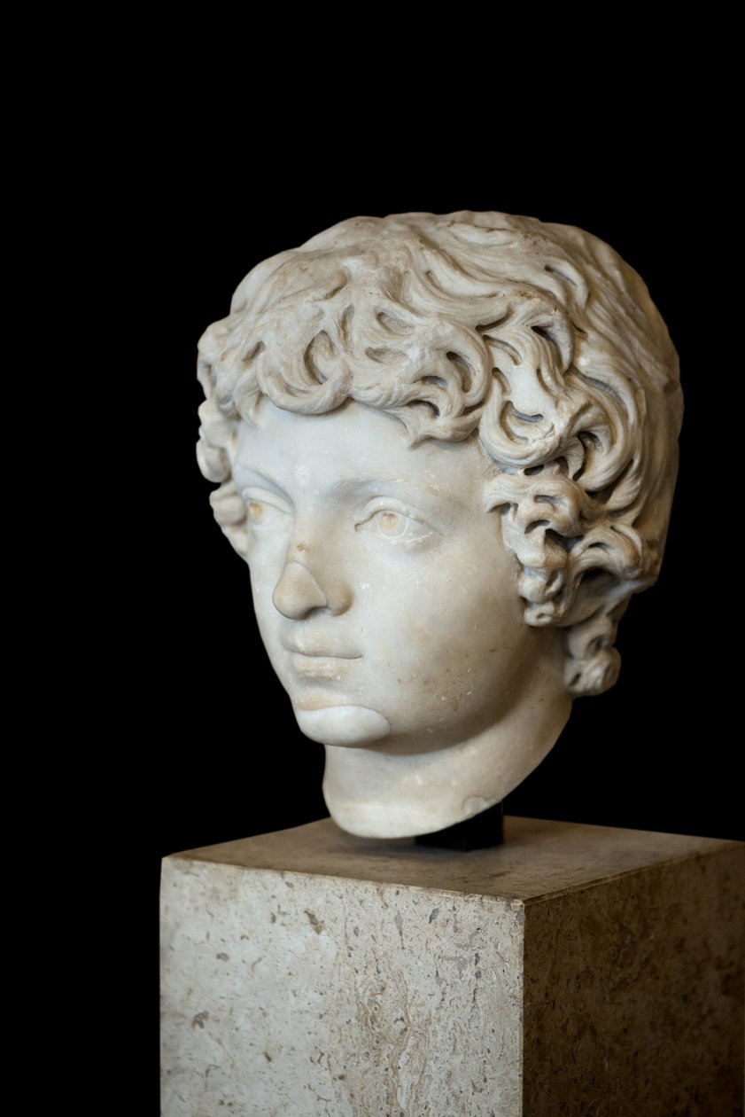 Tête de l