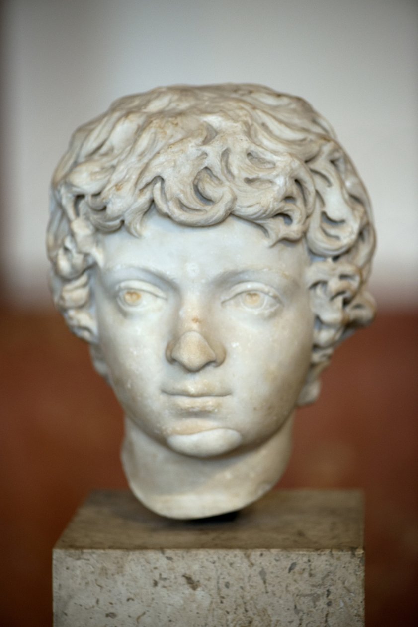 Tête de l