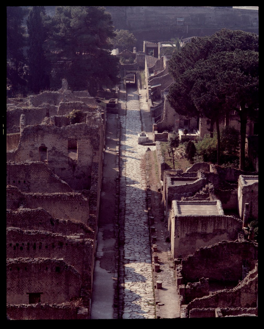 Vue du cardo V, Ve siècle av. J.-C. - Ier siècle apr. J.-C. - Roman Roman