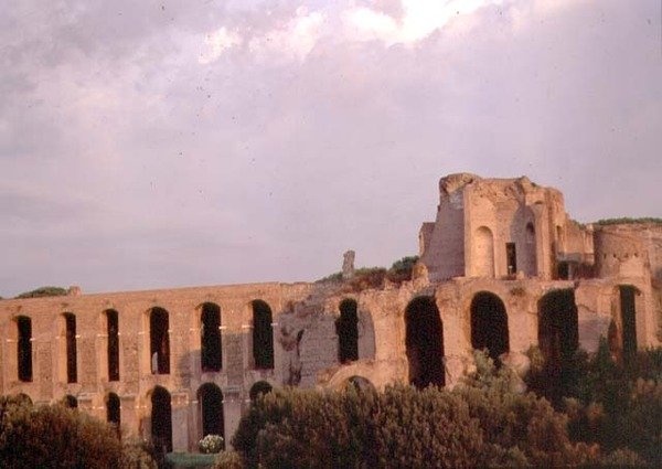 Vue du Palatin depuis le Circus Maximus - Roman Roman