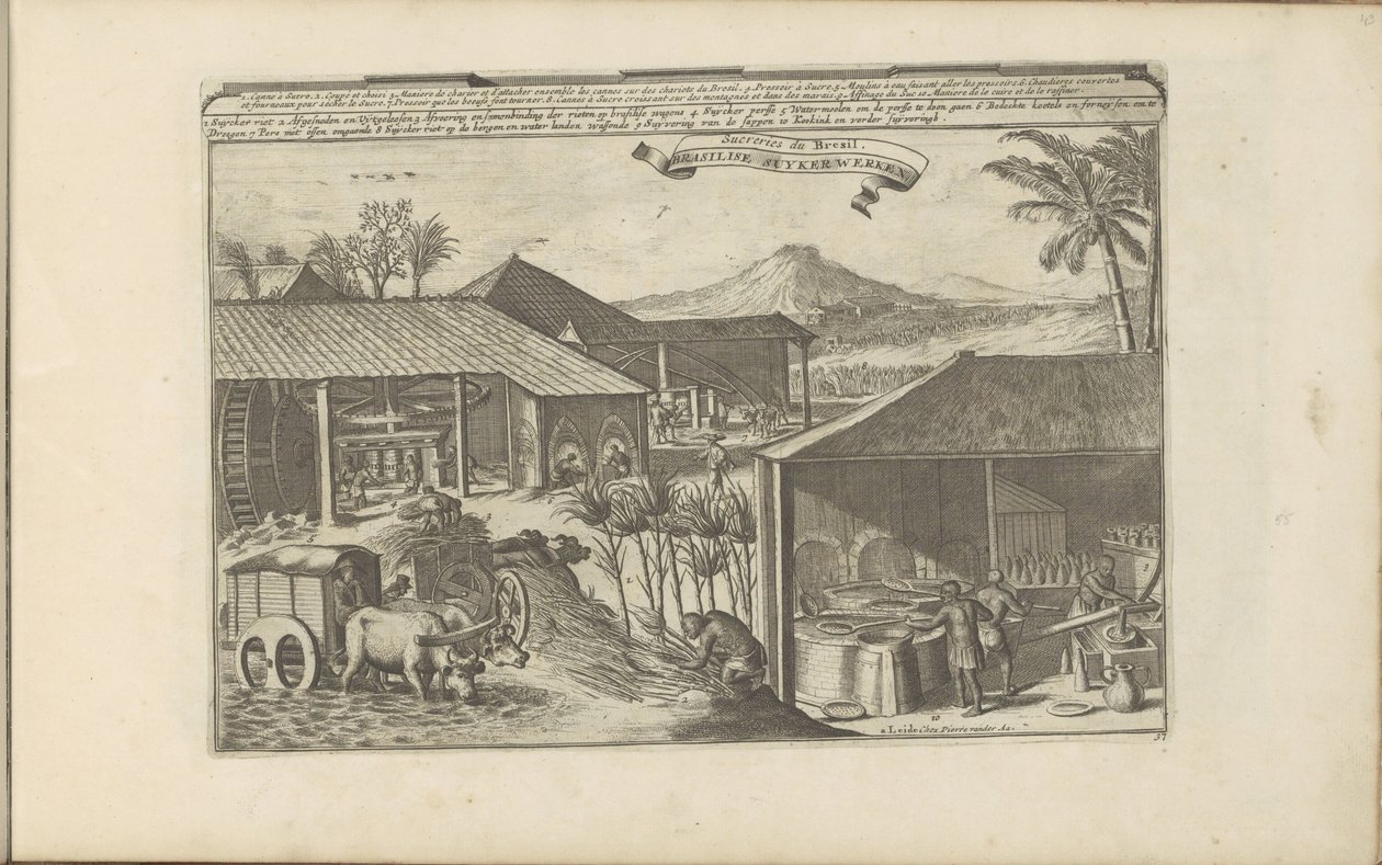 Travailleurs du sucre brésiliens - Romeyn de Hooghe