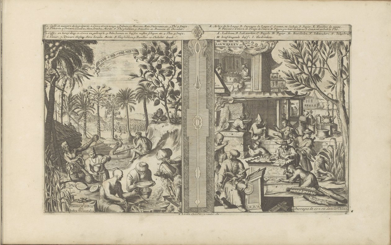 Boissons en Inde orientale ; Laques et papiers de Chine - Romeyn de Hooghe