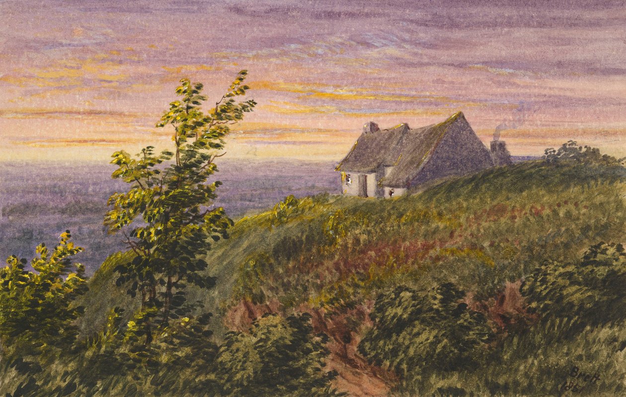 Depuis Bluebell Hill - Rosa Brett