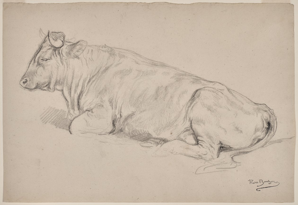 Taureau au repos - Rosa Bonheur