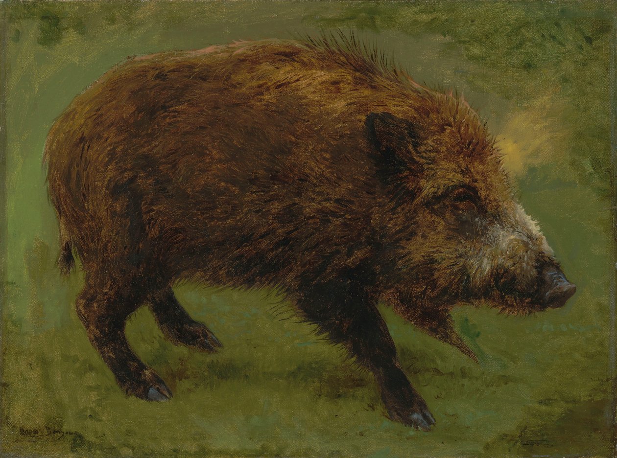 Français :  Le sanglier Wild boar - Rosa Bonheur