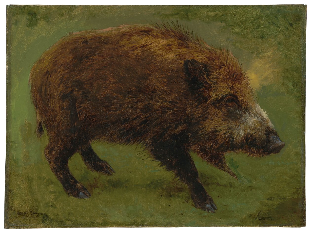Le sanglier - Rosa Bonheur