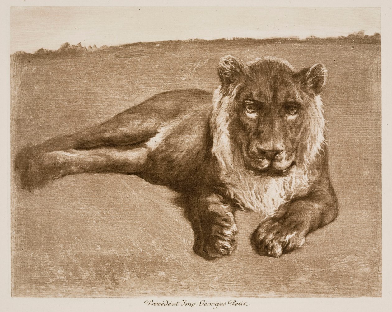 Lion - Rosa Bonheur