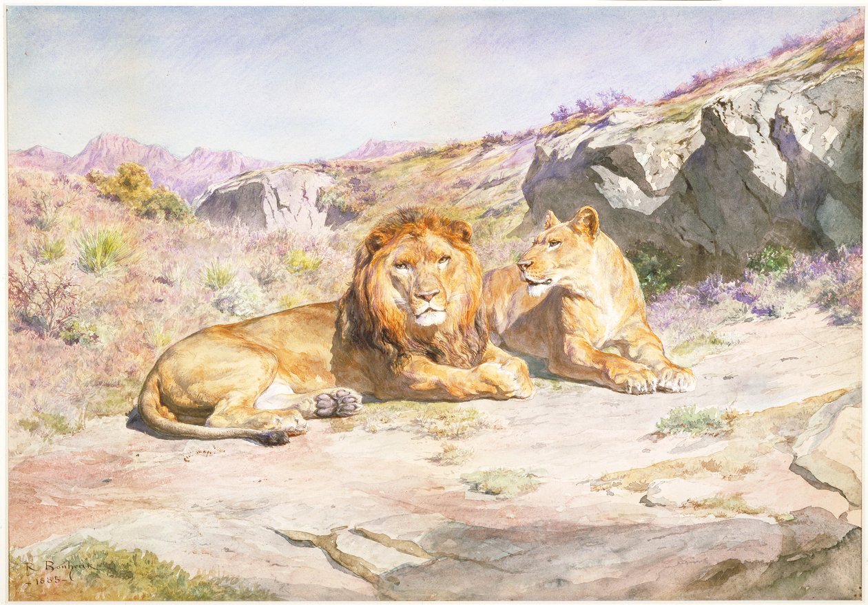 La royauté chez soi - Rosa Bonheur