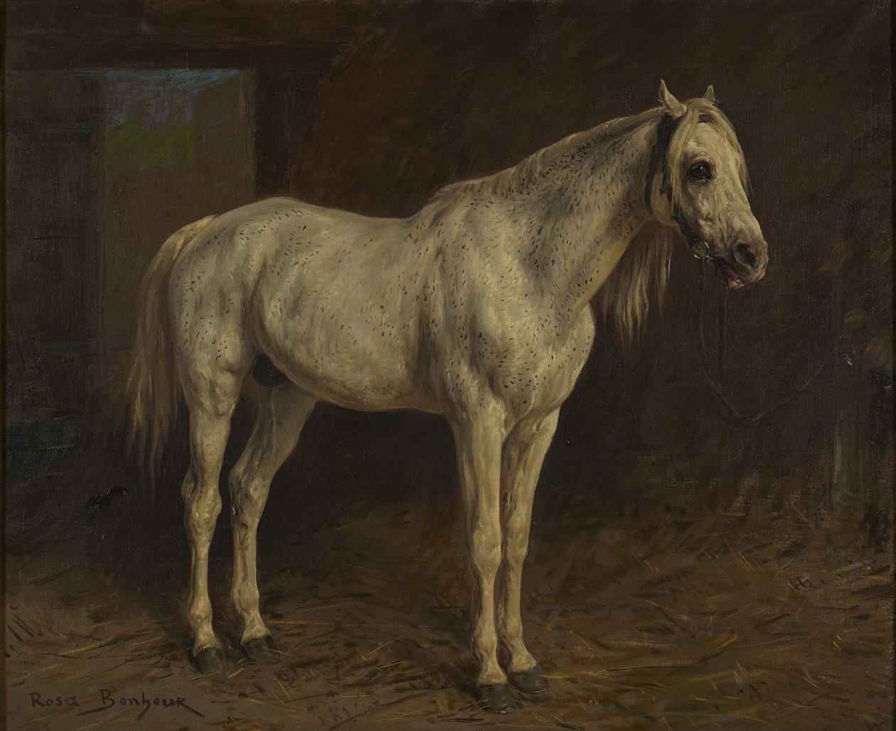 Cheval blanc - Rosa Bonheur