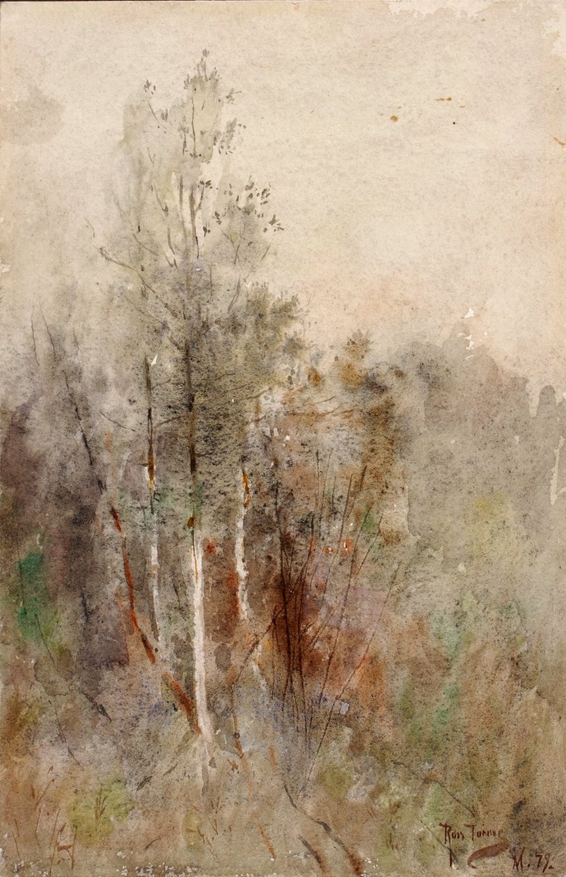Une étude sur les arbres - Ross Turner