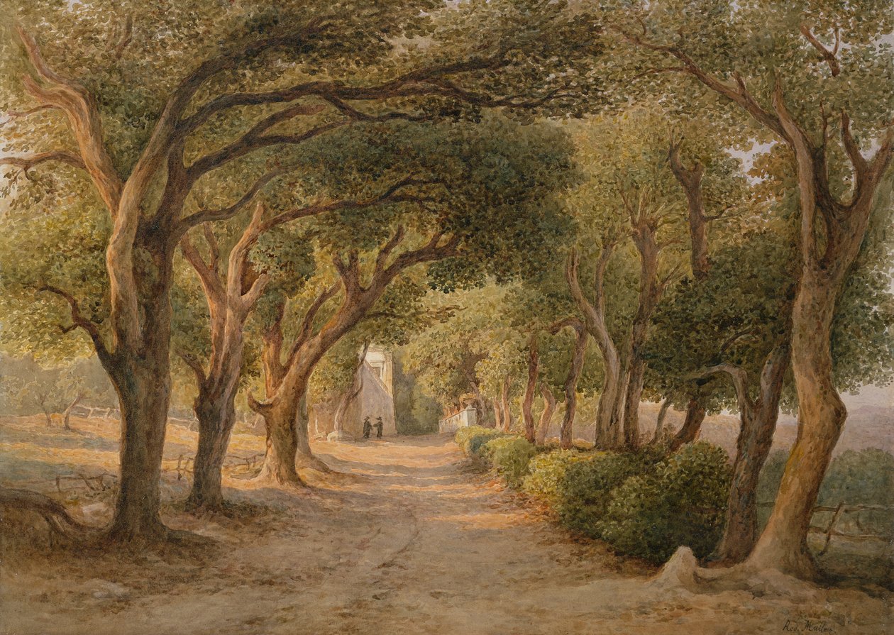 Castel Gandolfo - Rudolf Müller
