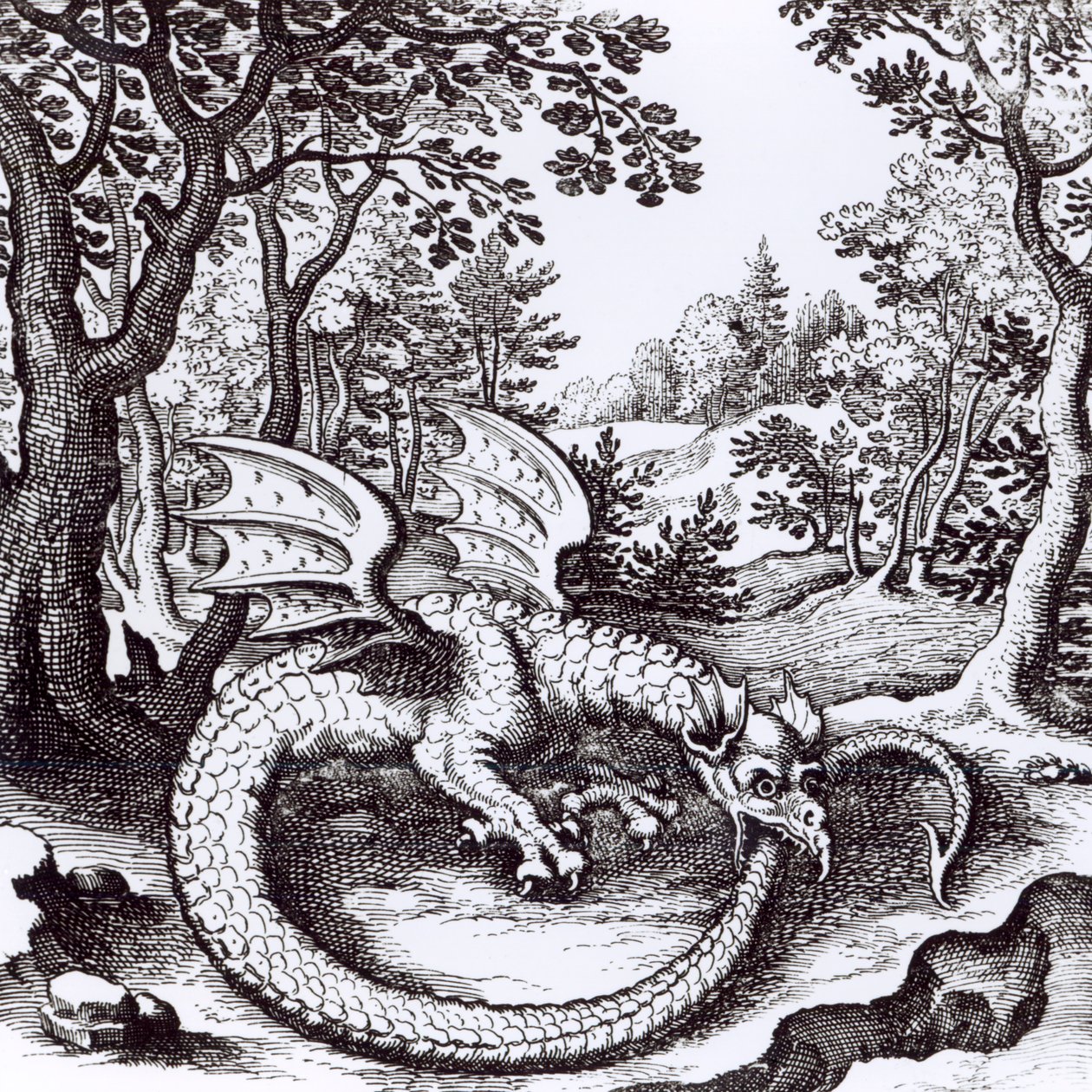 Un Dragon dans la Forêt, de 